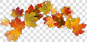  autumnleaves  autumn  crown  leafcrown  autumnleaf   Maple Leaf  HD Png Download
