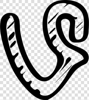 Vine Sketched Social Logo   Sketch Of Vine App Logo  HD Png Download