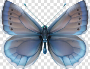 Decoupage Butterflies In Blue  HD Png Download