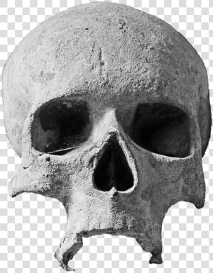 Skull Stone Skull Head Spiritual Stone Ornament   Skull Grunge Png  Transparent Png