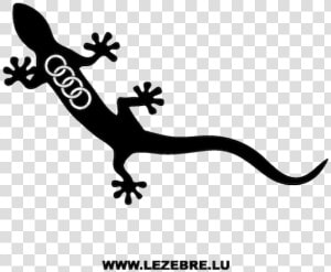 Audi Quattro Gecko Logo  HD Png Download