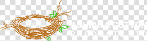 Acpl Done 04  HD Png Download