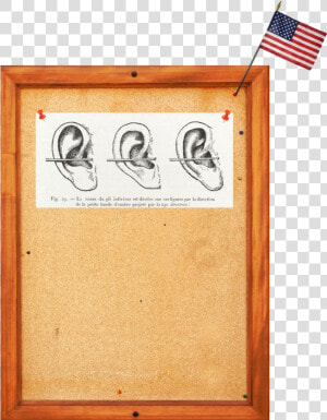 Listening Game Board Copy   Plywood  HD Png Download