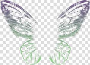  butterfly  wings  multicolor   Picsart Neon Wings Png  Transparent Png