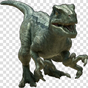 Jurassic World Velociraptor V4 By Sonichedgehog2 da9f2eg   Jurassic World Velociraptor Png  Transparent Png