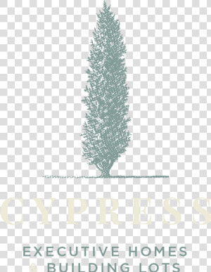 Logo Cypress White   Christmas Tree  HD Png Download