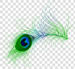 Peacock Clipart Royalty Free   Transparent Peacock Feather Png  Png Download