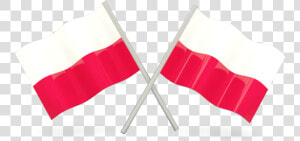 Flag Of Poland Flag Of Poland Icon   Colombia Flag Transparent Background  HD Png Download