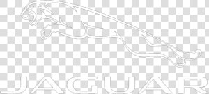 Jaguar   Jaguar Logo White Png  Transparent Png
