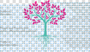 Tree 01   Barker Family Band Album  HD Png Download