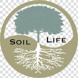 Impact Of Chemical Fertilizers On Environment  HD Png Download