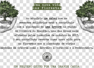 Transparent Texto Png   Adansonia  Png Download