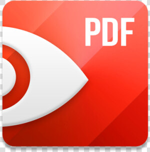 Expert Icon Png  Transparent Png