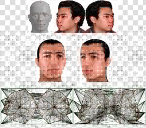 A Hairless Head Model With The Texture Image   Male  HD Png Download
