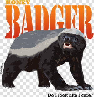 Honey Badger Png   Honey Badger  Transparent Png