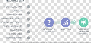 Rwe Diagram   Real World Data Evidence  HD Png Download