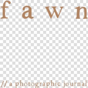 Fawn 01   Parallel  HD Png Download