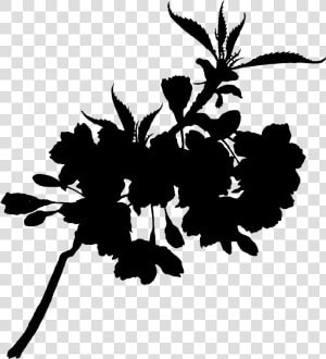 Flower Plant Stem Leaf Clip Art Silhouette   Silhouette  HD Png Download