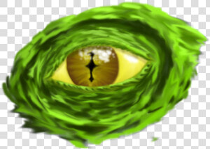 Reptile Eye Png   Animal Eyes Png Free  Transparent Png
