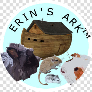 Picture   Noah  39 s Ark Transparent Background  HD Png Download