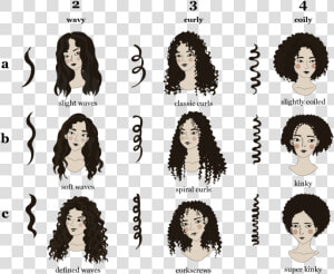 Type Of Hair Curl Pattern  HD Png Download
