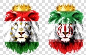 Afghan Flag With Lion  HD Png Download