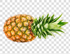 Fruit Ananas  HD Png Download