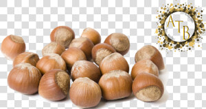 Hazelnut Png  Transparent Png