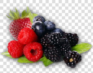 Bramble   Transparent Background Berries Png  Png Download