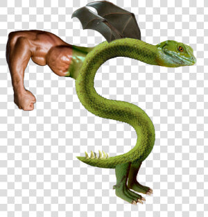 Transparent Trogdor Png   Trogdor Hd  Png Download