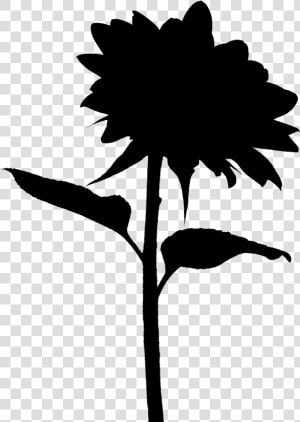 Sunflower Silhouette   Transparent Background Sunflower Png  Png Download