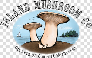 Website Logo   Mushrooms Company  HD Png Download
