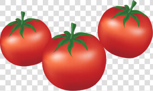 Clip Art Tomato Bush Vegetable Tomatoes   Imagen De Tomates Animado  HD Png Download