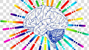 Brain Clip Art   Transparent Cartoons   Brain Clip Art  HD Png Download