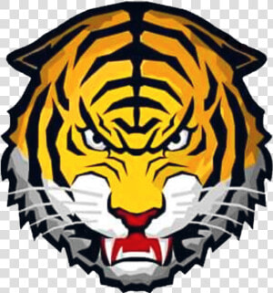 Tigre Png  Transparent Png