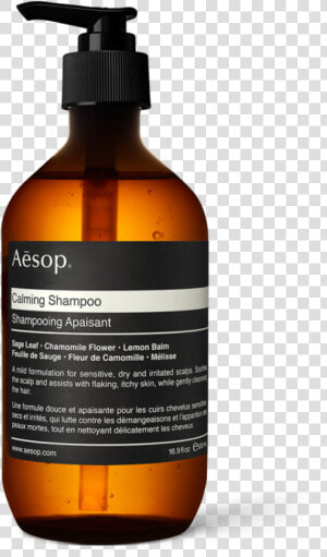 Aesop Equalising Shampoo  HD Png Download