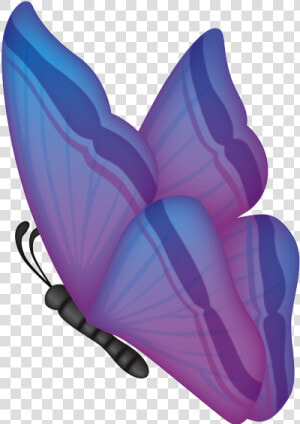 Swallowtail Butterfly  HD Png Download