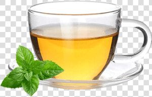 Soursop Tea   Green Tea  HD Png Download