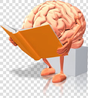Transparent Thinking Brain Clipart   Brain Reading A Book  HD Png Download