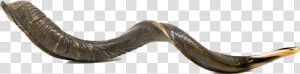Shofar Png Clipart   Wood  Transparent Png