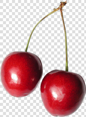 Cherries Png Image   Cherry Png  Transparent Png