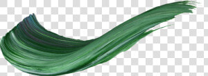Hierochloe  HD Png Download