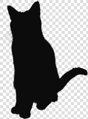 Cat Jumps  HD Png Download