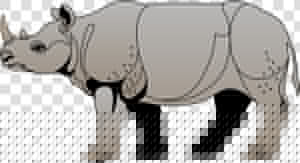 Clipart Rhinoceros  HD Png Download
