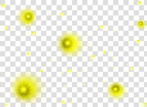 Marcos Gratis Para Fotos   Flower  HD Png Download