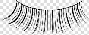 Pre glued False Eyelashes   Wimpern Png  Transparent Png