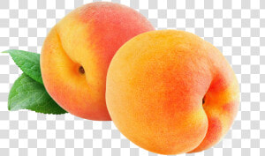Peaches Transparent  HD Png Download
