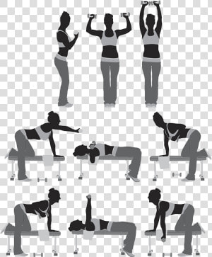 Silhouette Wellness Sa Weight Training Illustration   Illustration  HD Png Download