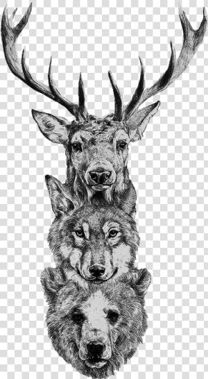 Drawn Horns Png Tumblr   Native American Animals Tattoos  Transparent Png