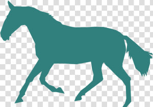 File Gaited Wikimedia Commons Clip Art Stock   Mustang Horse  HD Png Download